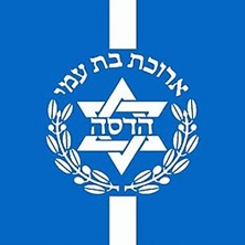 הדסה