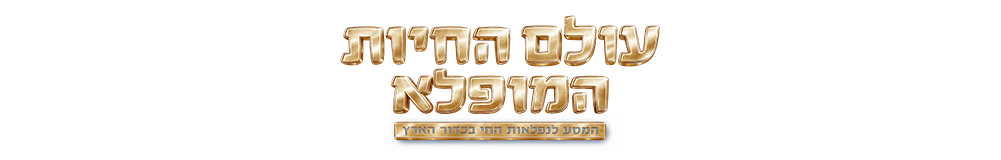 מרכז הקונגרסים, חיפה